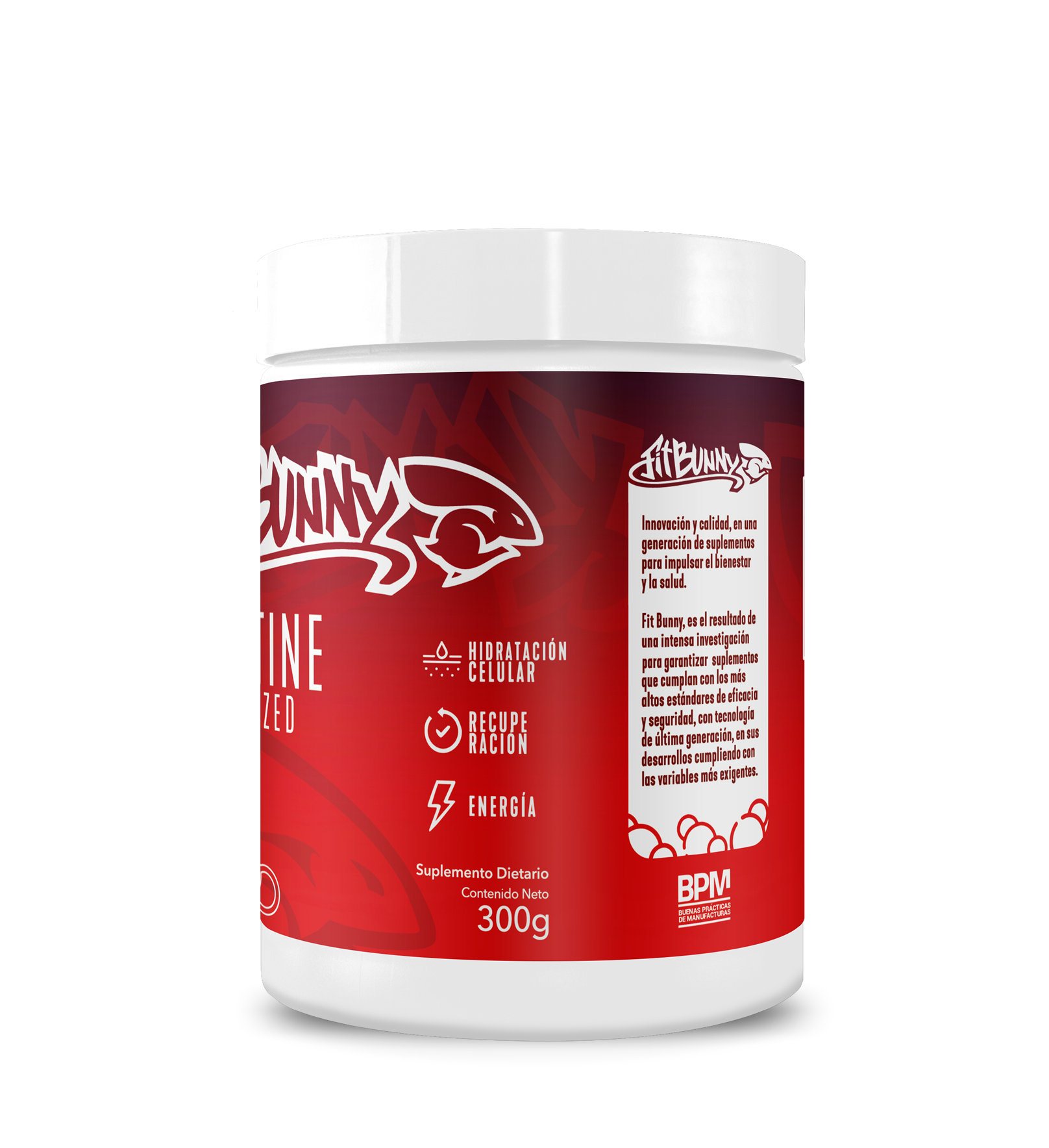 Fitbunny Creatina Monohydrate Ultramicronized Pote De 300g - Imagen 3